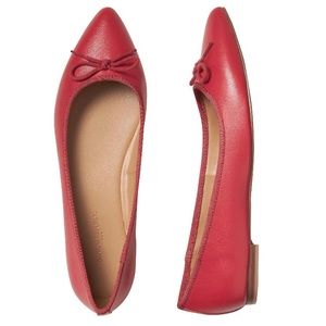 Banana Republic Robin Pointed-Toe Flats